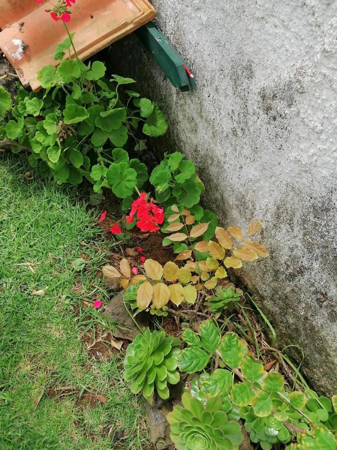 Ferienwohnung Varandas Miramar Angra do Heroísmo Exterior foto