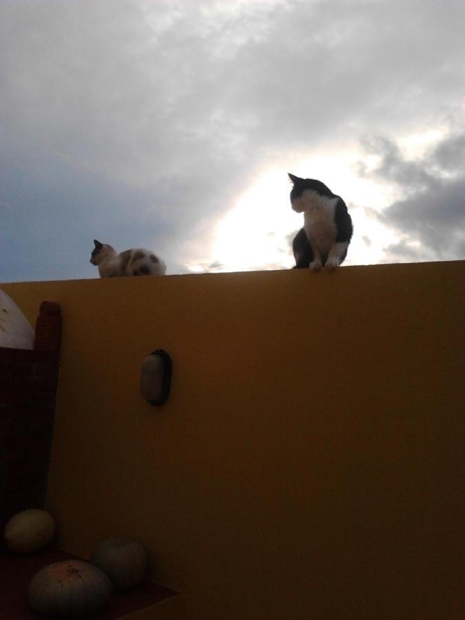 Ferienwohnung Varandas Miramar Angra do Heroísmo Exterior foto